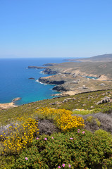 Küste von Mykonos im Frühling
