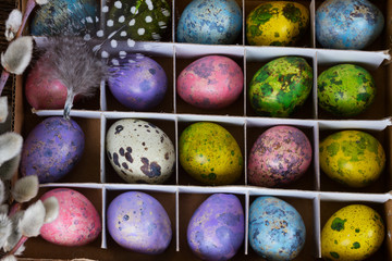 Colored quail eggs 