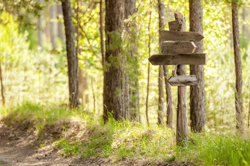Track pointer on a forest road