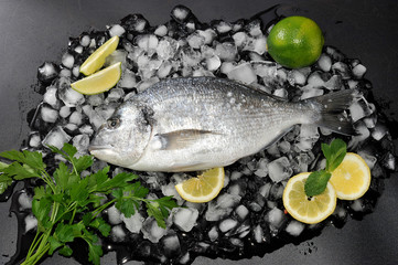 Dorado fish lying on  ice cubes, salt, parsley lime and lemon. T