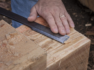 Hand Chiseling a Wooden Beam: A large Hemlock timber beam end being pared flat by hand with a long steel chisel 