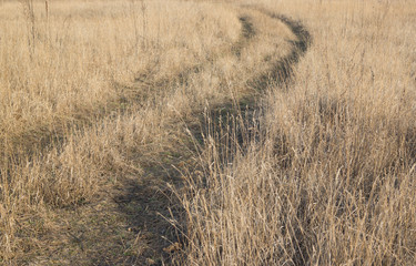 Road in the grass