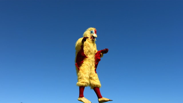 Chicken flapping wings, slow motion