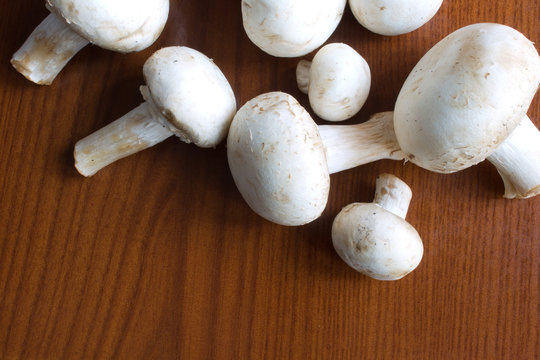 Group mushrooms on a wooden table