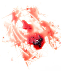Obraz na płótnie Canvas red blood on white background