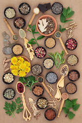 Herbs for Womens Health