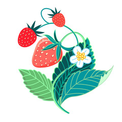 illustration of colorful tasty strawberries