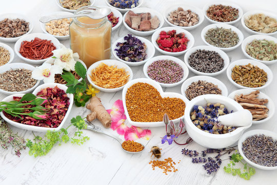 Alternative Herbal Medicine