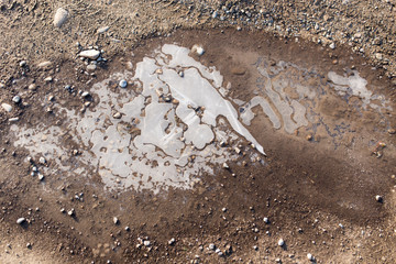 ice in a pool on the nature