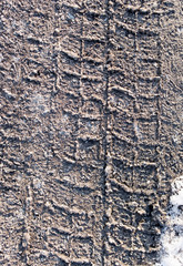 trace of cars on the dirt on the nature