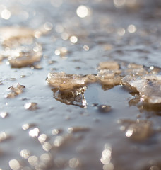 ice in a pool on the nature