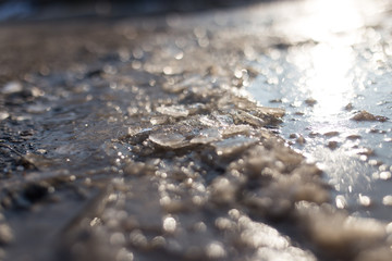 ice in a pool on the nature