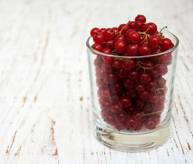 fresh red currant