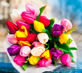 Flowers, multicolored tulips in the city background!