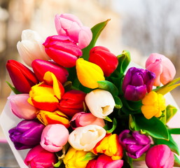 Fototapeta premium Flowers, multicolored tulips in the city background!