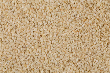 Closeup of lots of sesame seeds