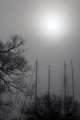 One morning mist covering the small island "Lilla Essingen" in Stockholm. As the sun began to heat the air it soon shone through the veils of mist and created this magical light.
