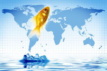 goldfish on a world map background