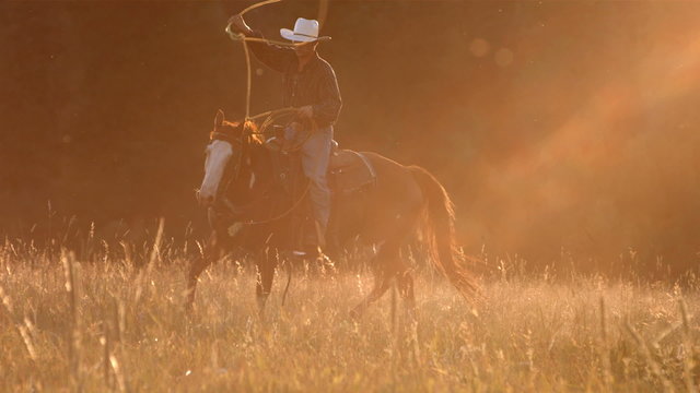 Cowboy roping at sunset, slow motion