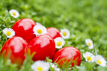 Fototapeta na wymiar Red Easter Eggs