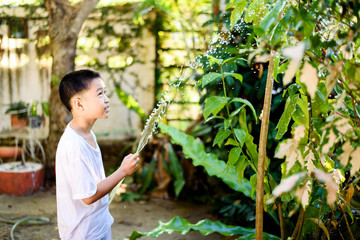 Boy watering garden