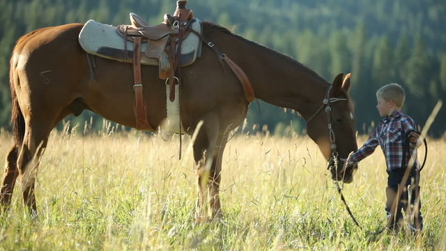 Young boy with horse