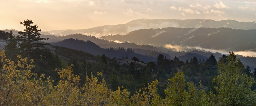 Fototapeta California Mountains in Mist at Dawn