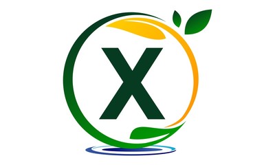 Green Project Solution Letter X