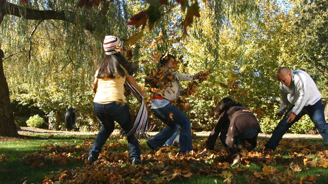 Family playing in the leaves