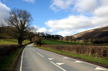 Country Road In Wales