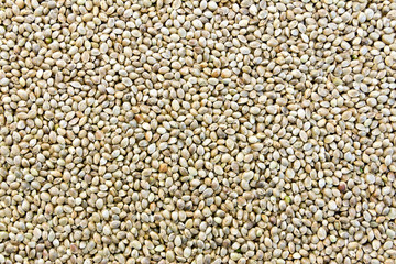 Hemp seeds
