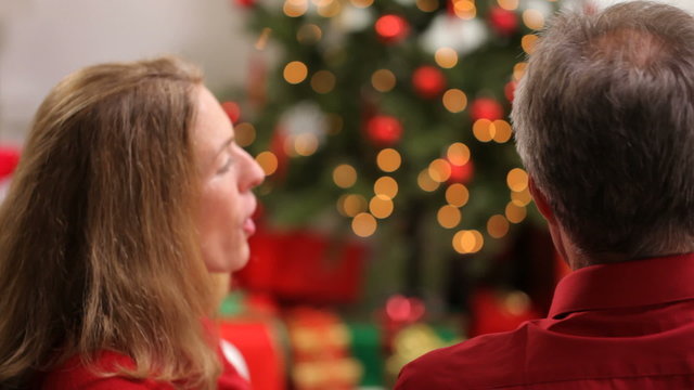 Senior couple and mistletoe