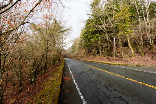 8 Best 雨上がりの道路 Images Stock Photos Vectors Adobe Stock