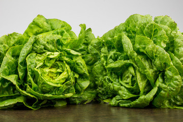 Fresh lettuce leaves