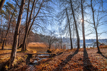 Im Naturschutzgebiet Schorfheide-Chorin