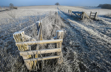 frostige Landschaft im Barnim
