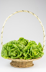 Fresh lettuce leaves