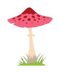 Amanita poisonous mushroom, isolated vector on white background.