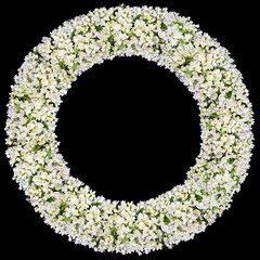 Round frame from white  jasmine flowers