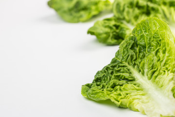 Fresh lettuce leaves