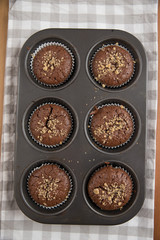 Schokoladen Muffins 