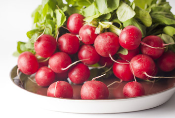 A bunch of radishes