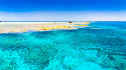 Fototapeta premium Egypt. Red sea day!