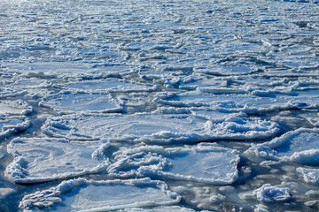 ice floes in the water