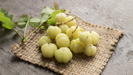Star gooseberry