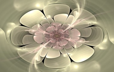 Beautiful abstract fractal flower.