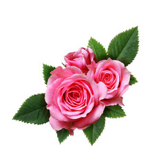 Pink rose flowers composition