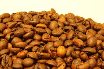 Kaffeebohnen in Nahaufnahme