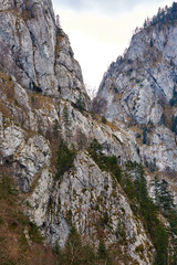 Limestone mountains and forest