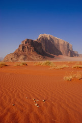 Fototapeta na wymiar wadi rum desert with rock, jordan